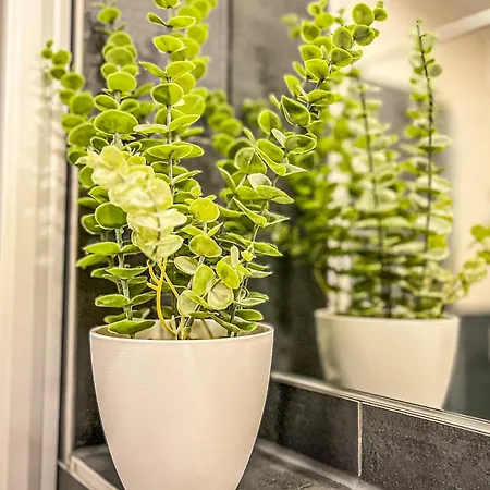 Appartement Baltischer Hof 01 *